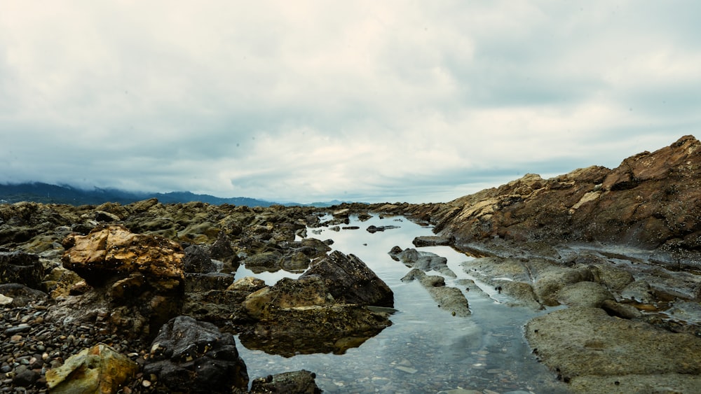rocky shore under cloudy sky during daytime
