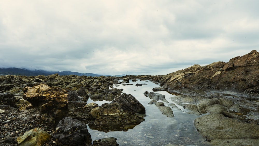 rocky shore under cloudy sky during daytime