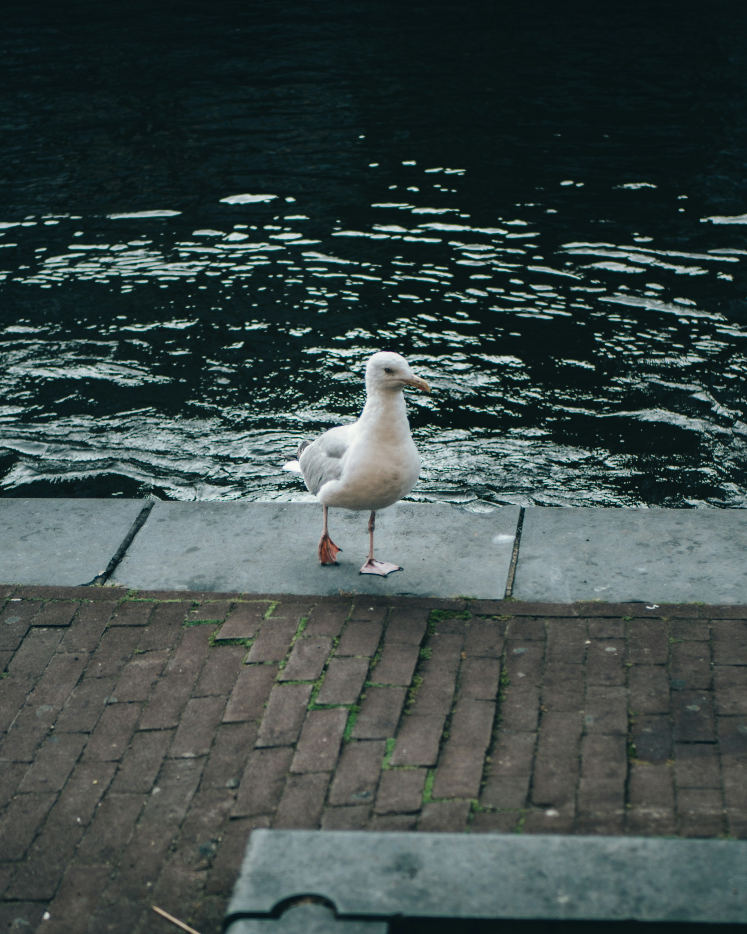 Photo by matthiasoberholzer