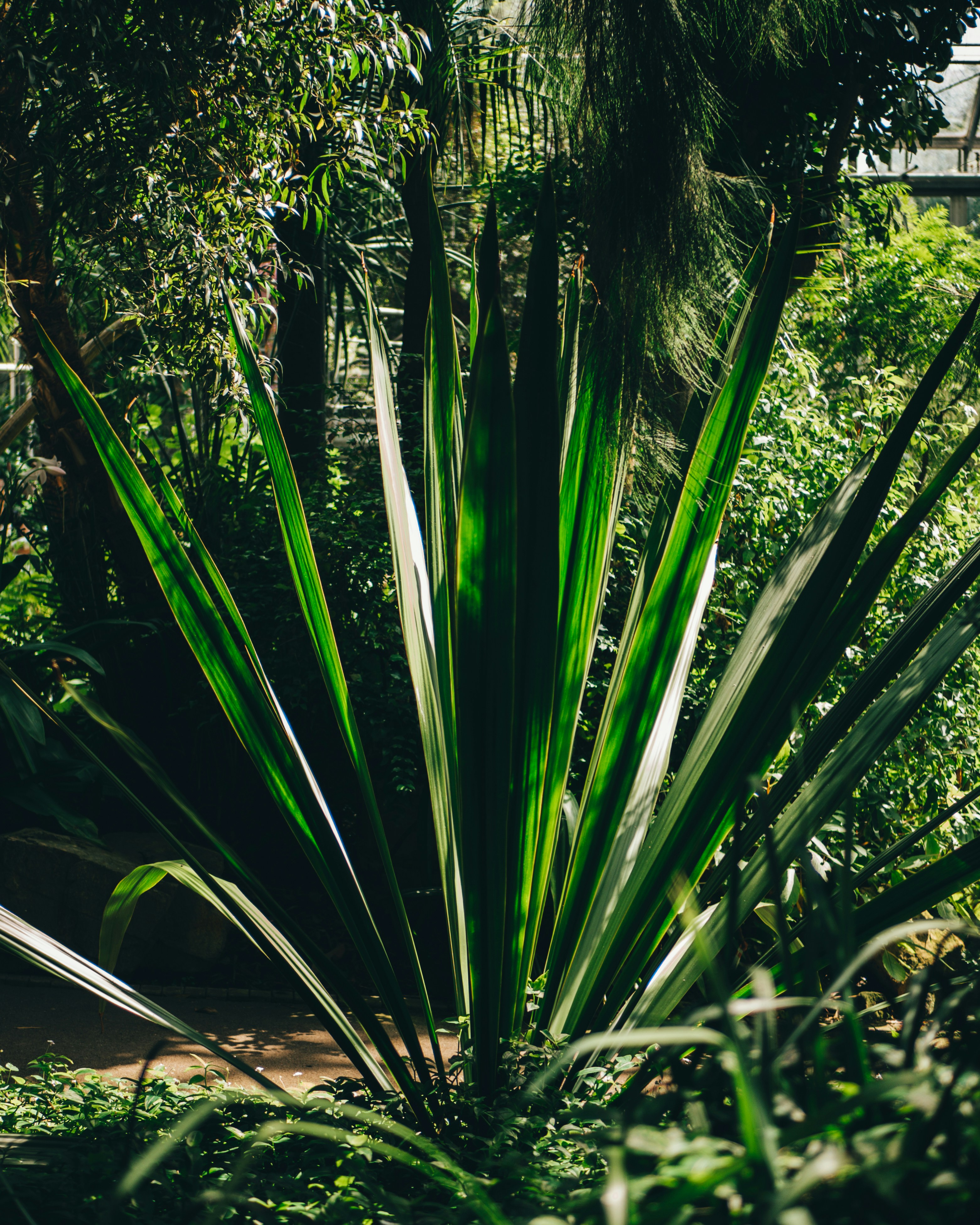 Photo by matthiasoberholzer