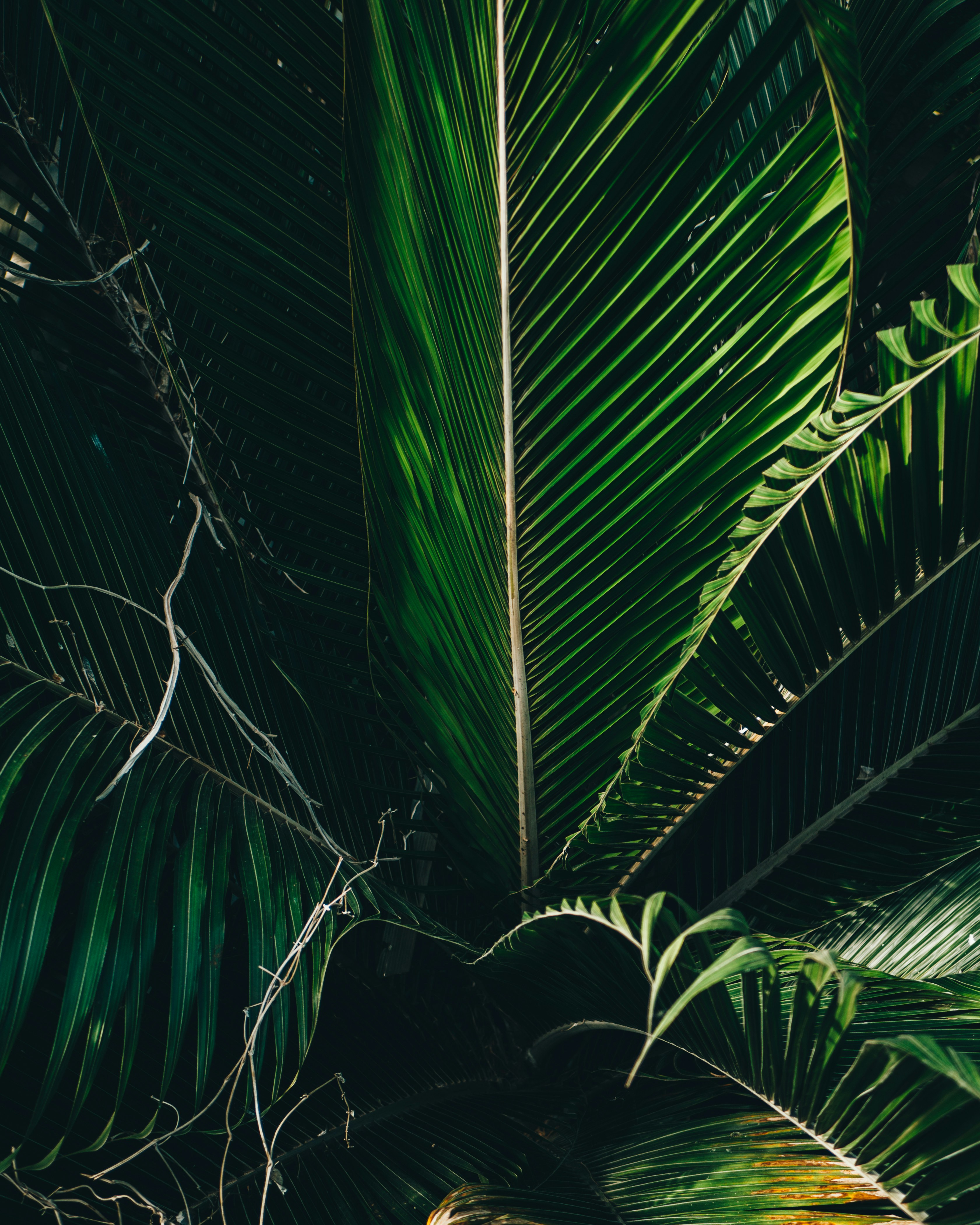 Photo by matthiasoberholzer