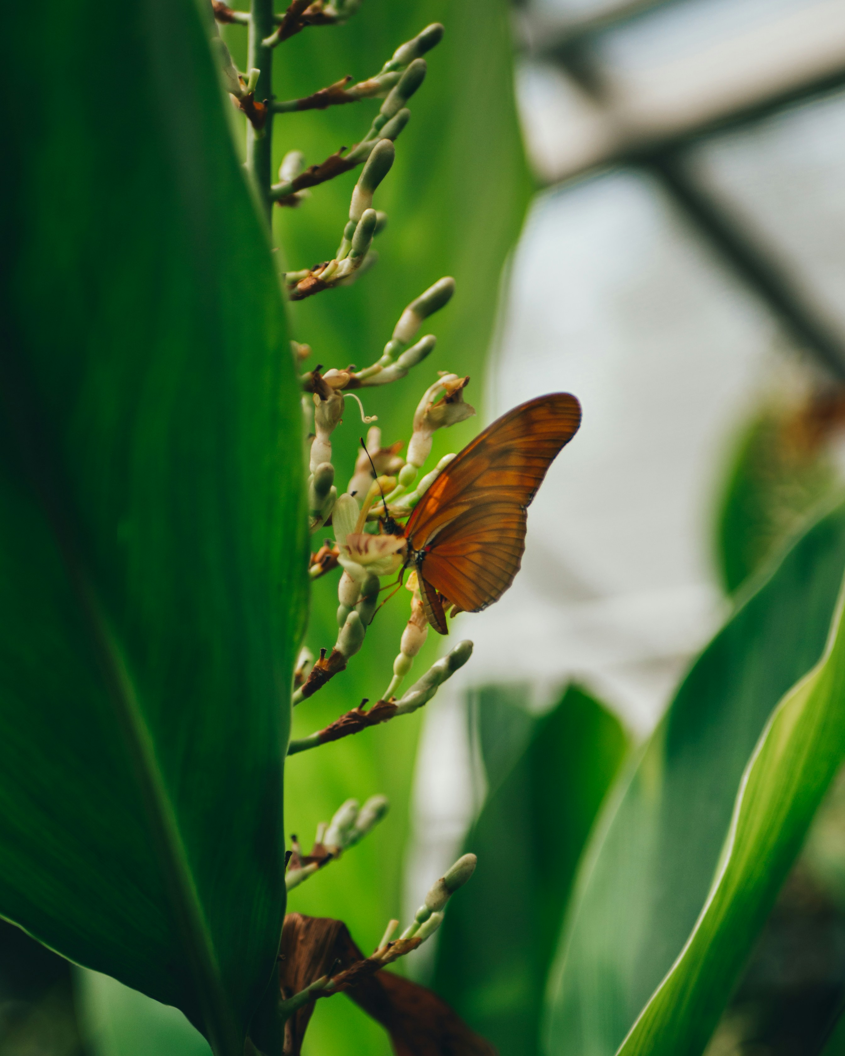 Photo by matthiasoberholzer