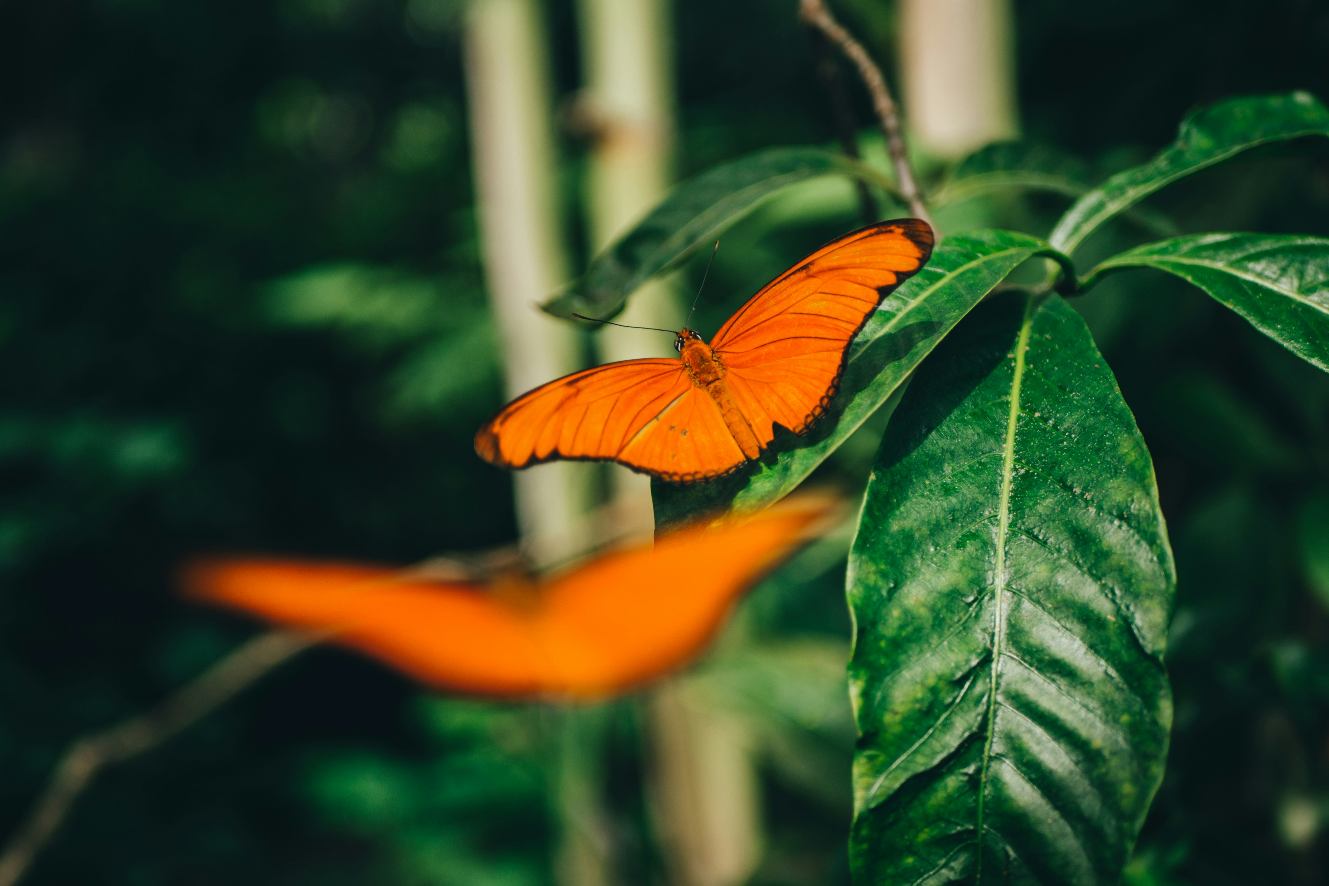 Photo by matthiasoberholzer