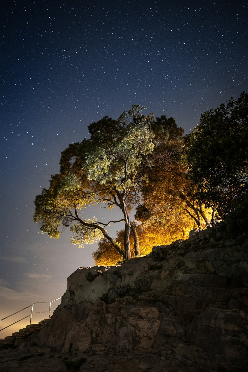 Alberi verdi sulla montagna rocciosa marrone durante la notte