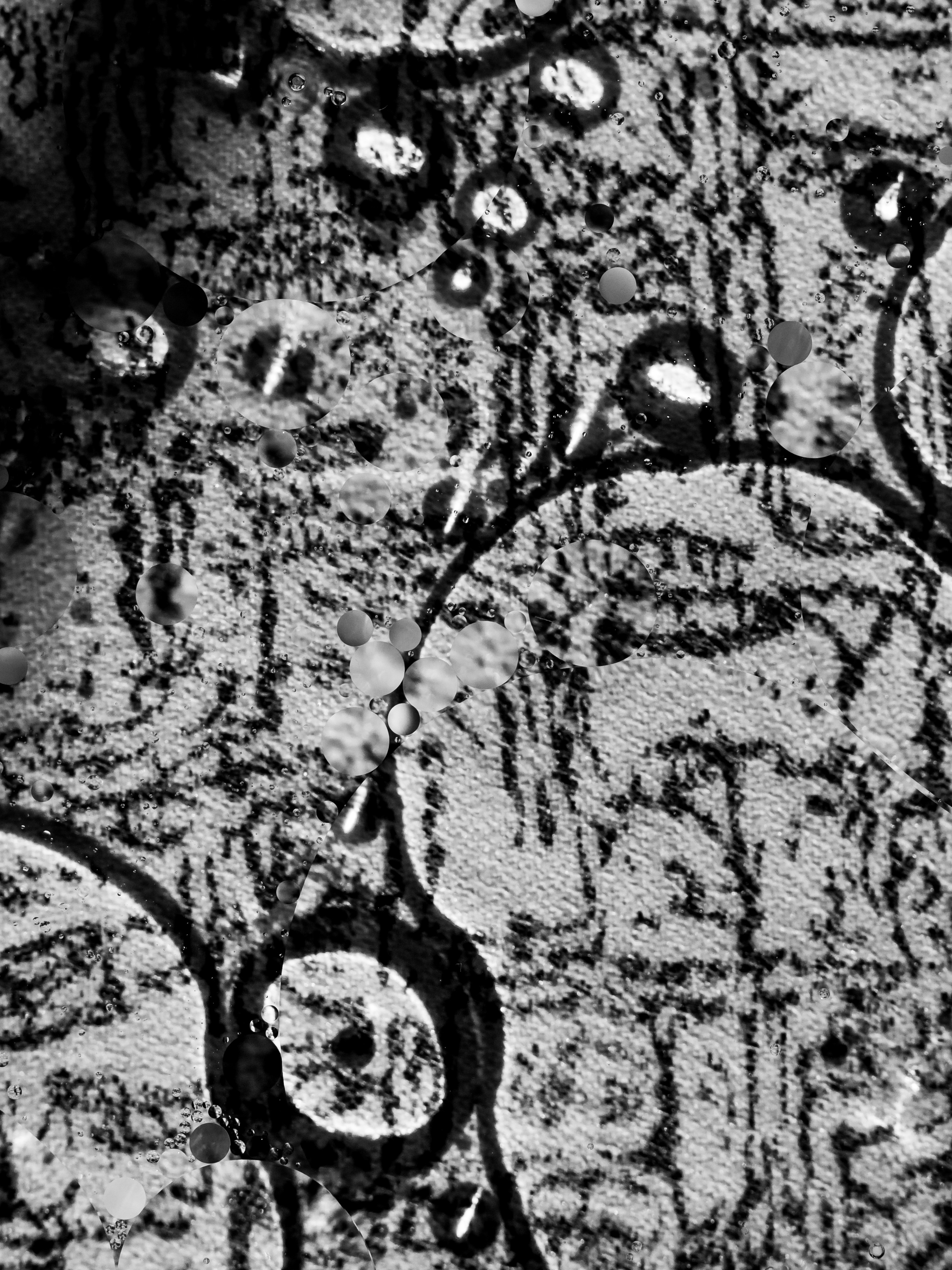 Photo by dylanhendricks