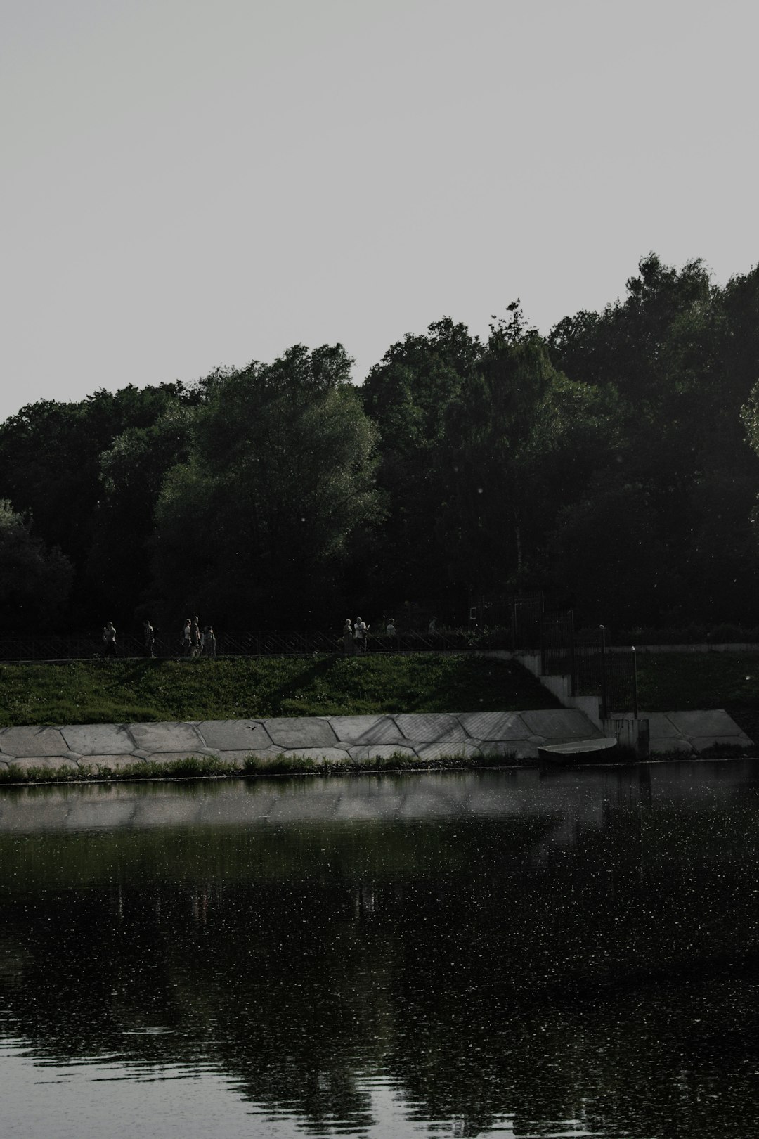 green trees beside body of water during daytime