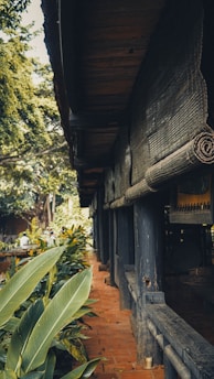 A traditional wooden building with rolled up bamboo blinds and a brick pathway surrounded by lush green foliage. The structure is shaded under large trees, creating a serene and natural atmosphere.