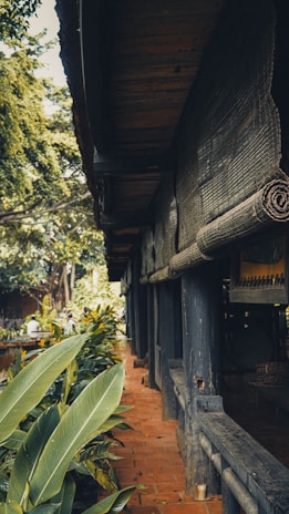 A traditional tea house surrounded by bamboo and greenery.