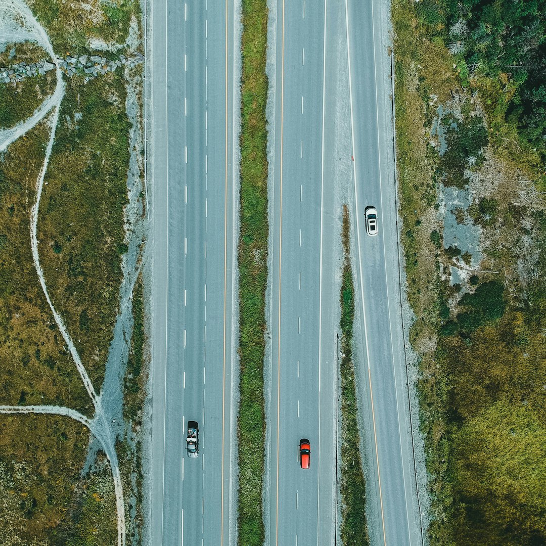 aerial view of road between trees