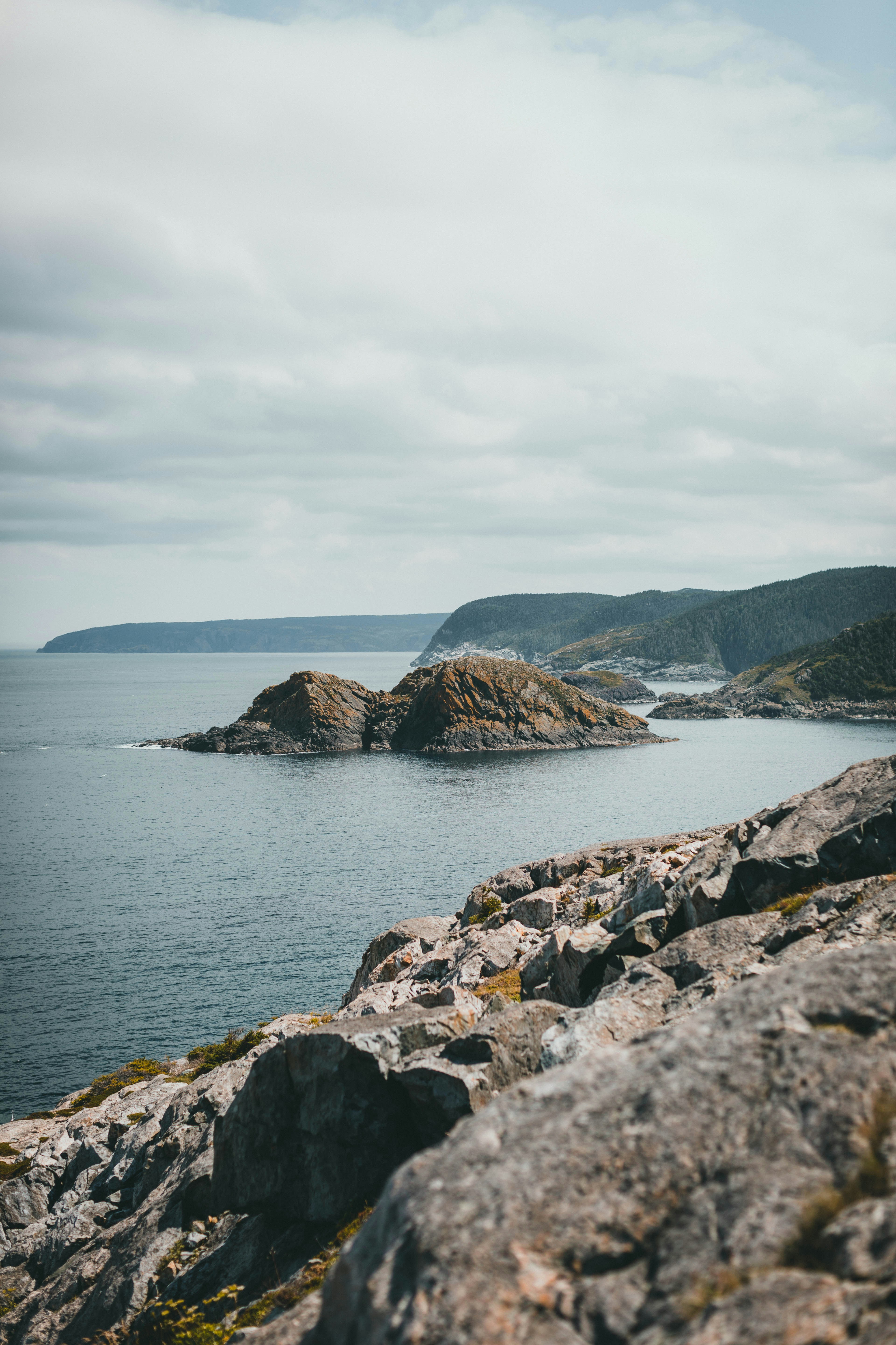 Photo by theshuttervision