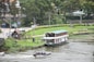 white and blue boat on river near green grass field during daytime
