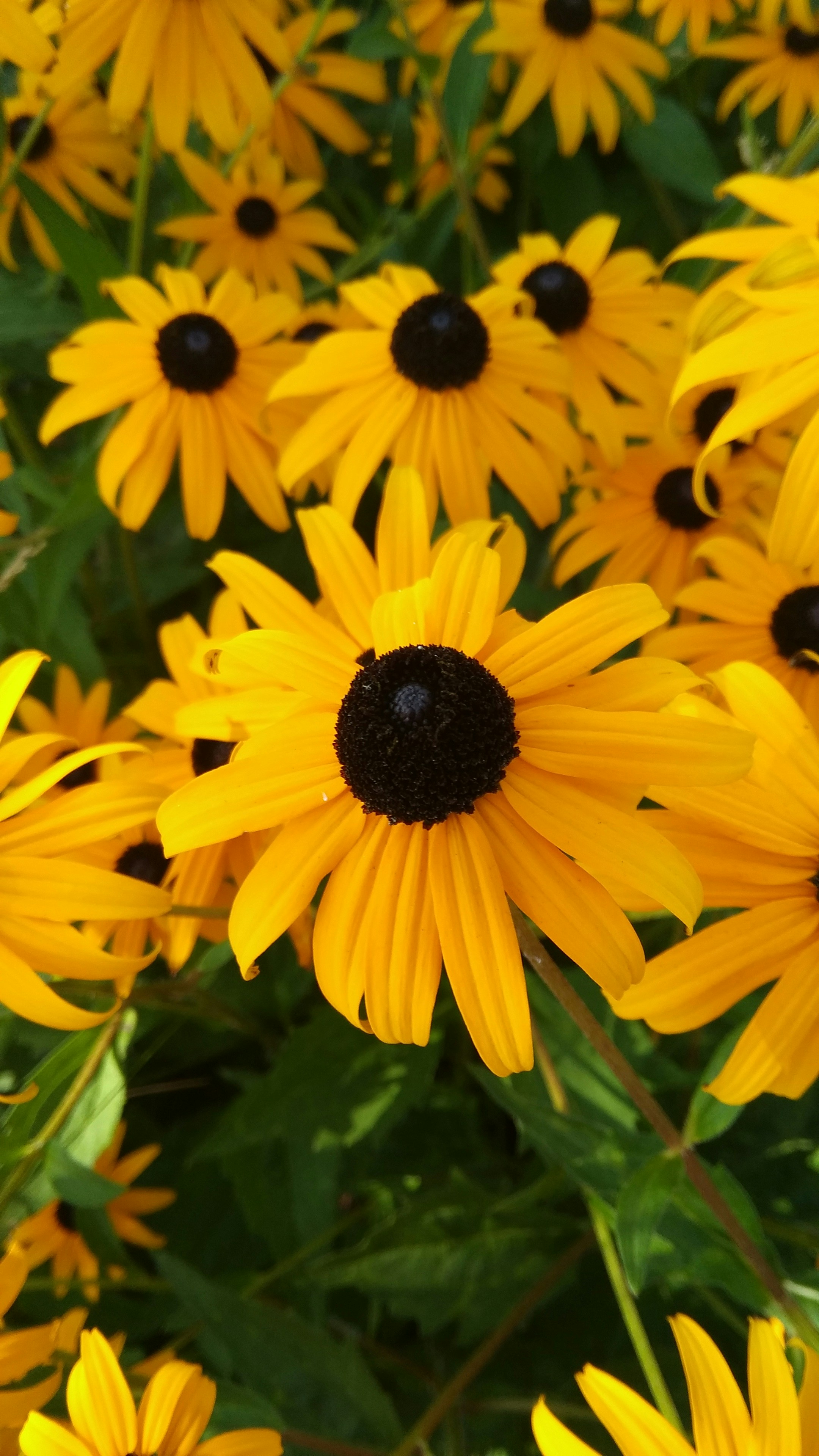 Photo by salihasultansogutlu