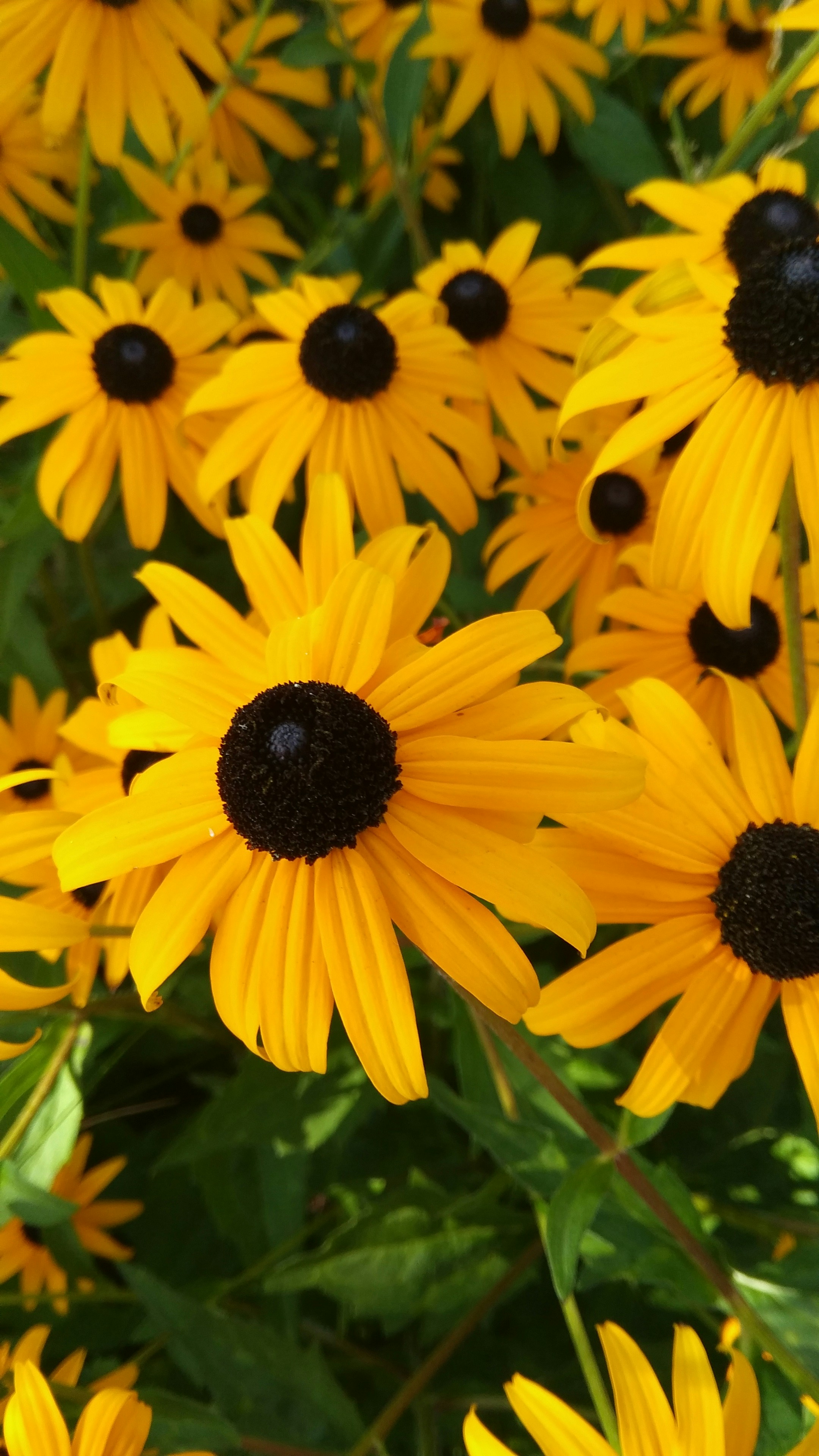 Photo by salihasultansogutlu