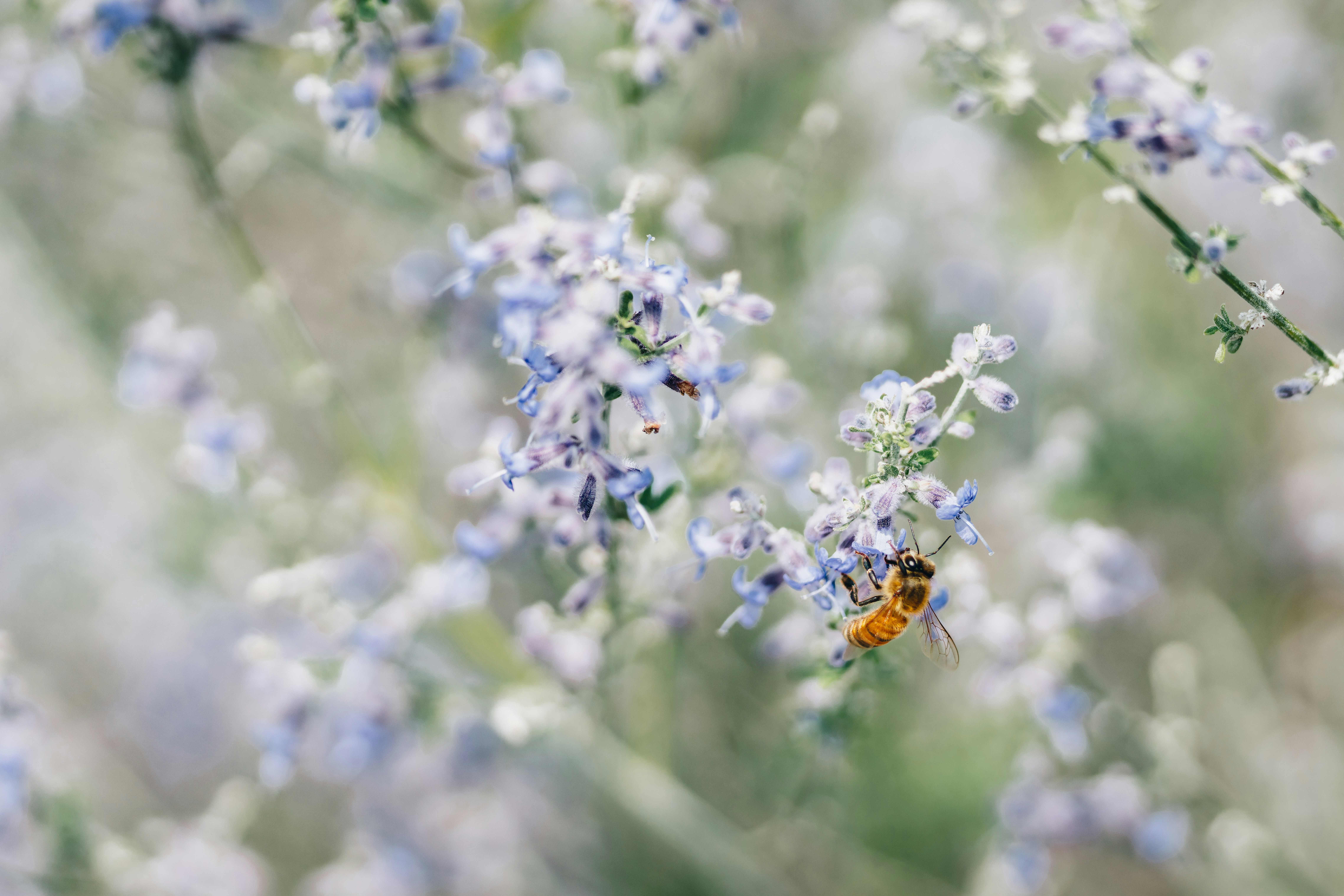 Photo by yohanmarion