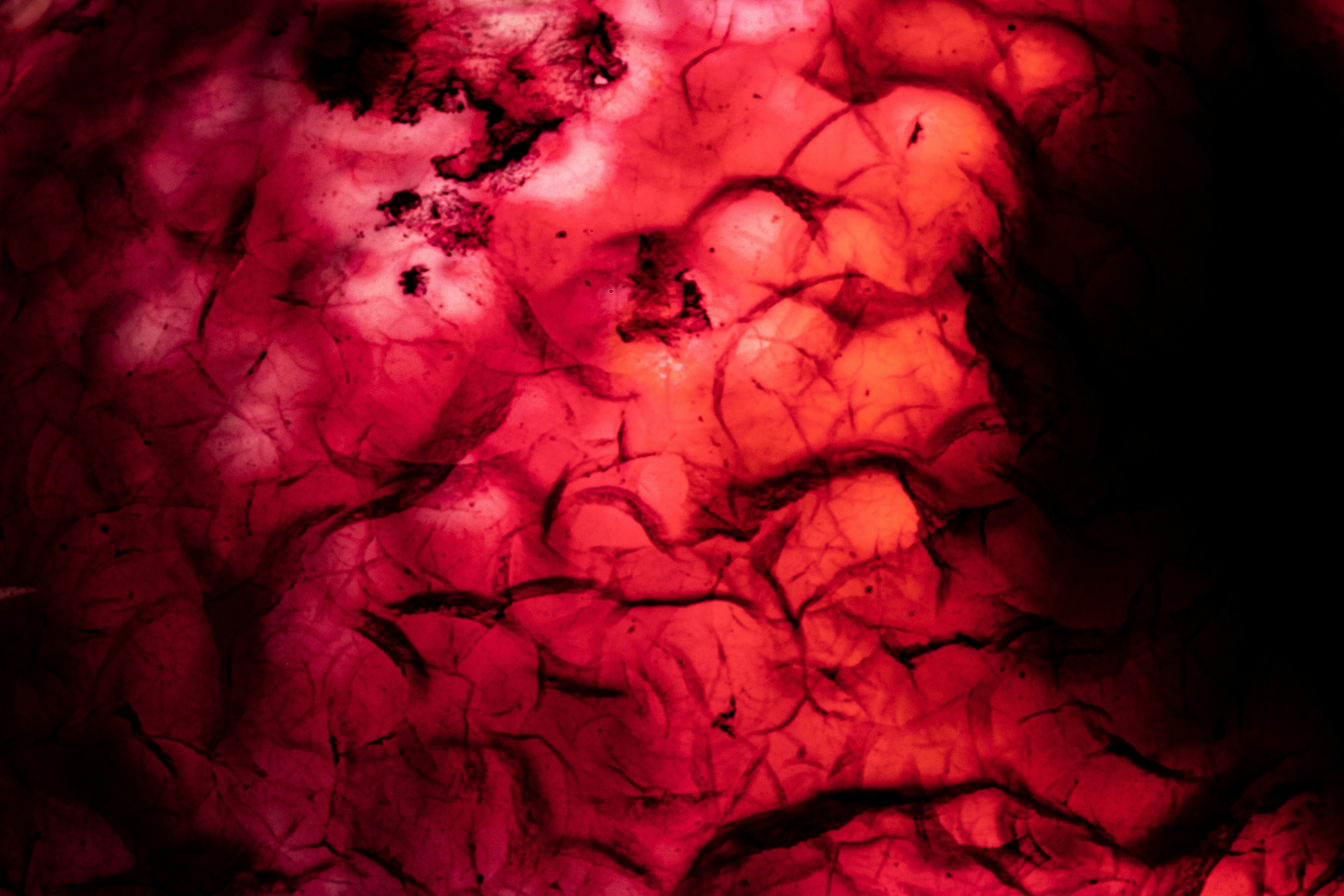 Photo by _staticvoid