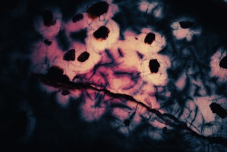 A close-up view resembling a microscopic or abstract biological pattern, featuring dark irregular shapes scattered across a softly lit background with intricate lines and veils. The image presents a striking contrast between deep black, dark brown, and vivid patches of pink and purple hues.