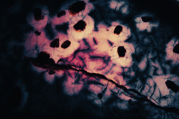 Hyper-realistic wide shot of intertwined mitochondrial networks glowing softly on the left side of a dark gradient background.