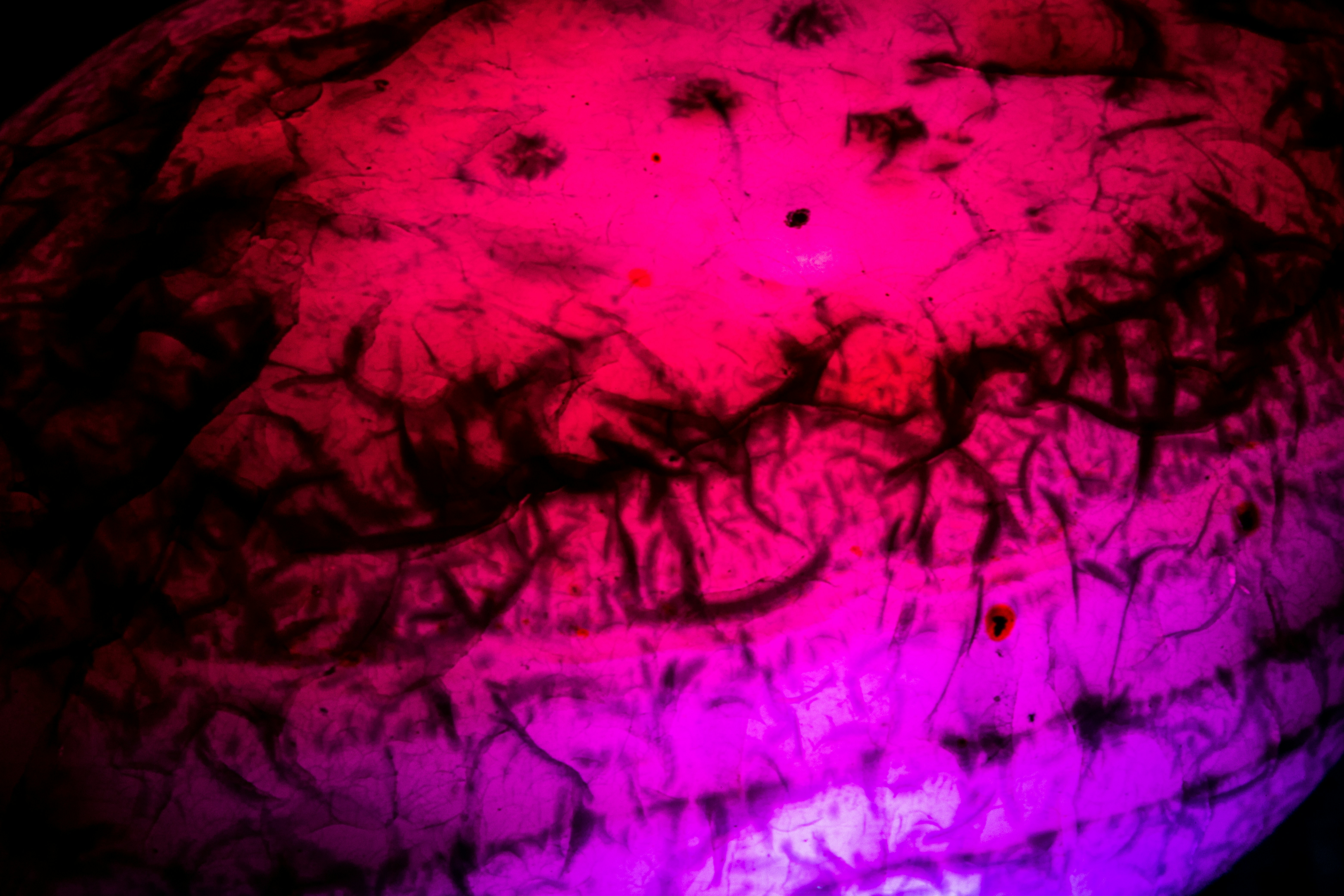 Photo by _staticvoid