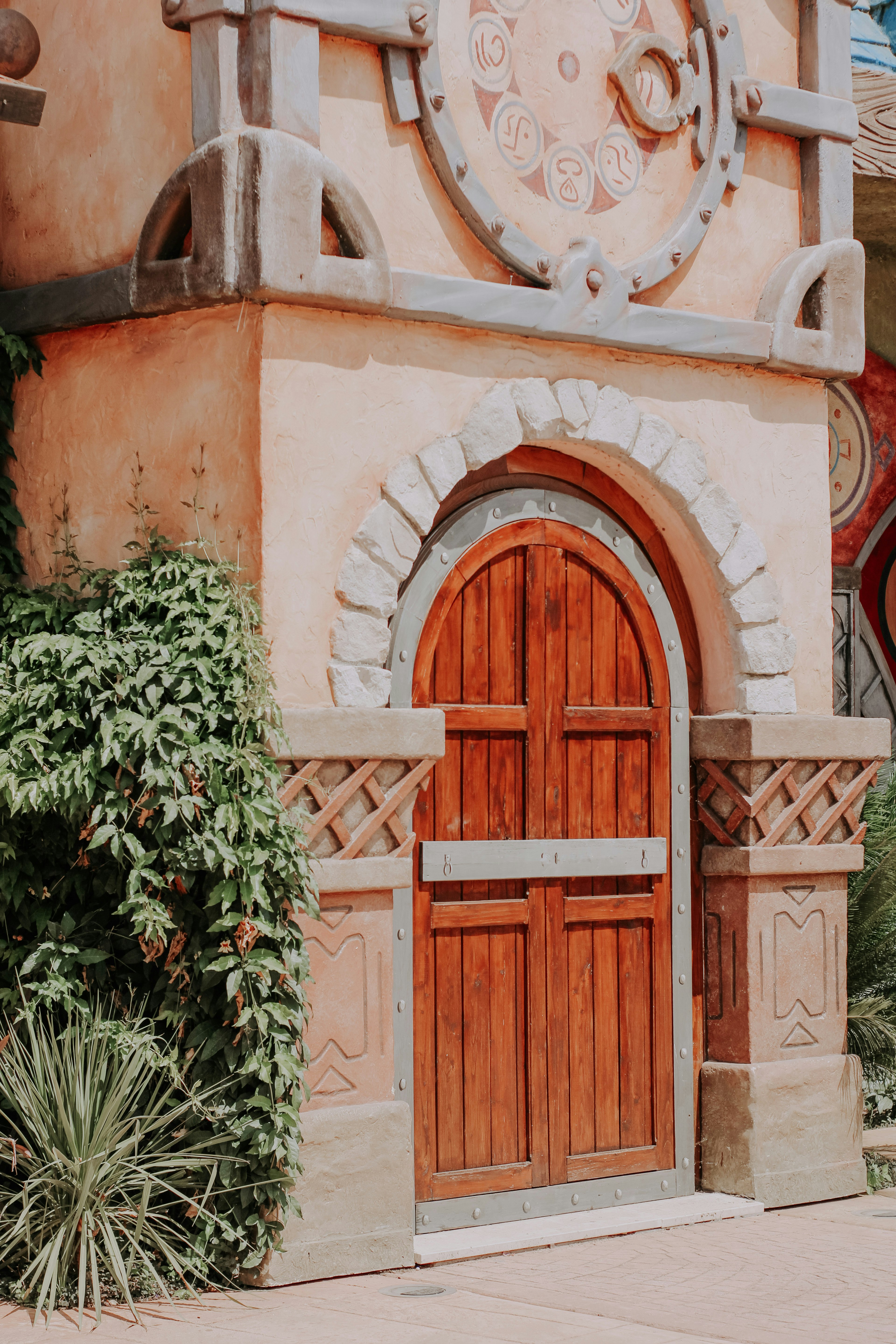 brown wooden door beside green plants