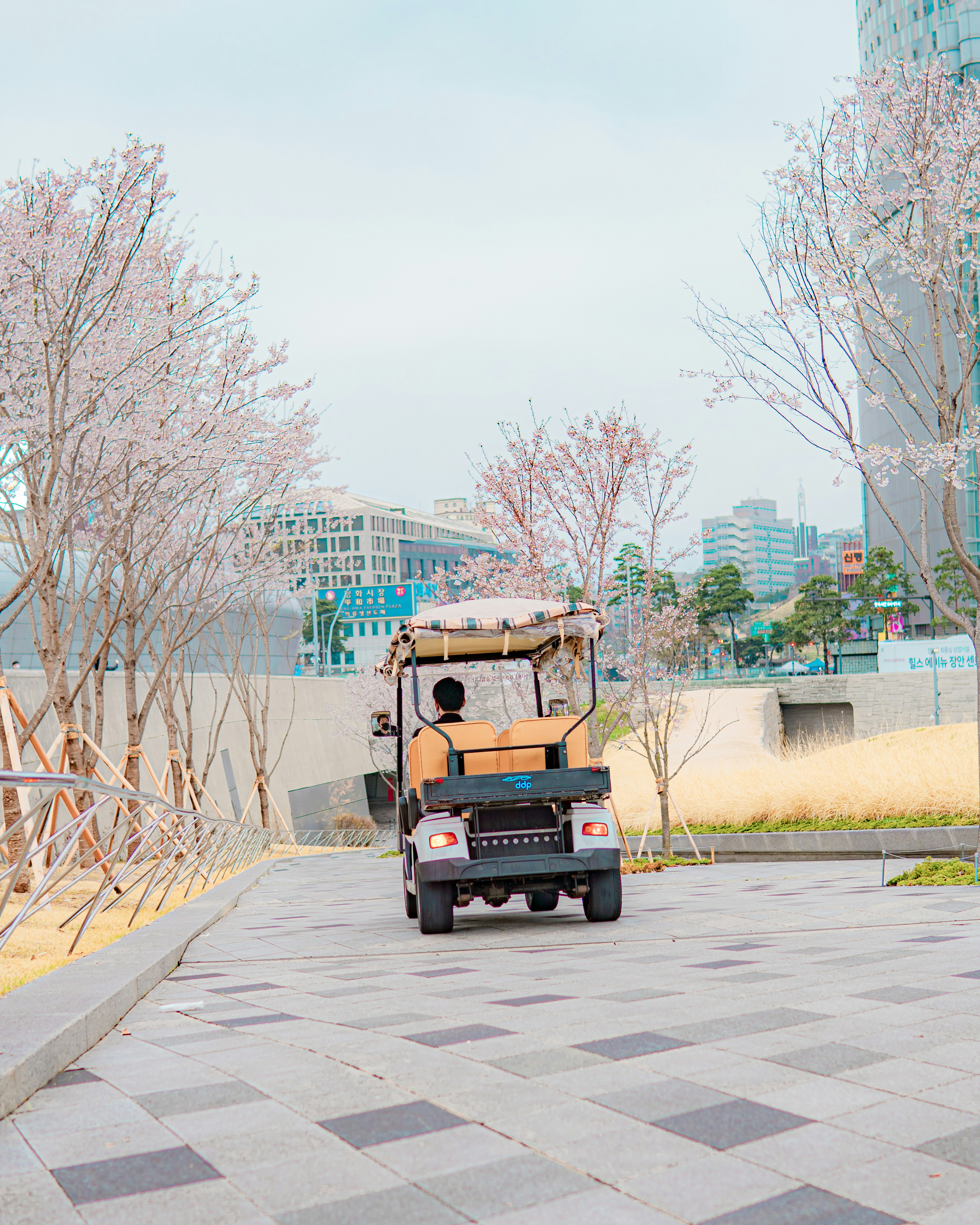 Why Car Position Actually Matters on Seoul's Subway