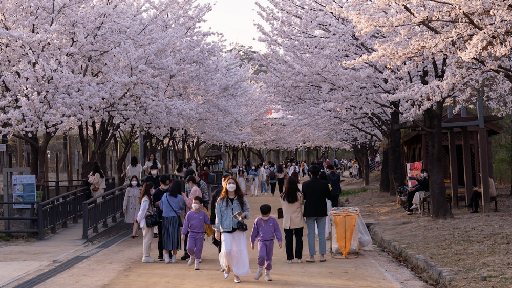 group of people standing on gray concrete pavement during daytime