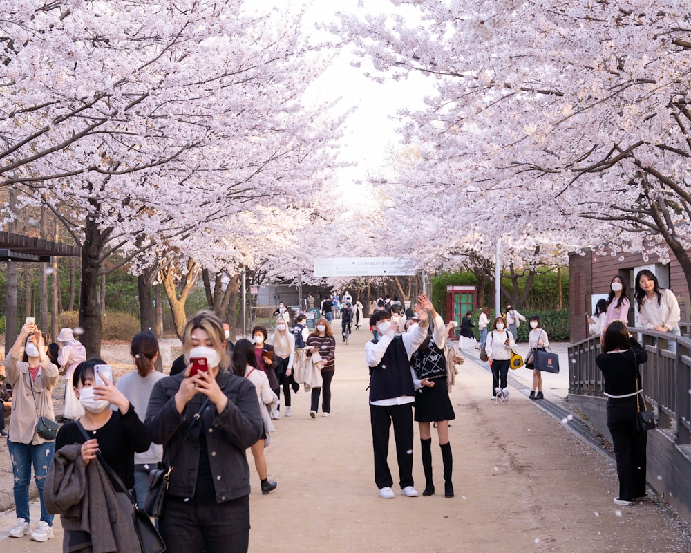 people walking on sidewalk during daytime