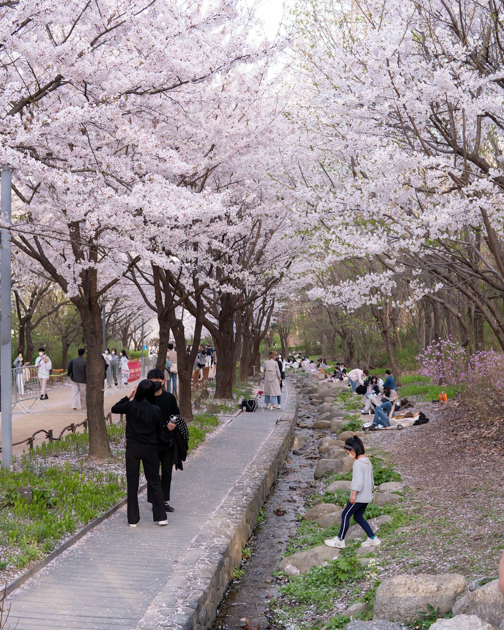 people walking on sidewalk during daytime