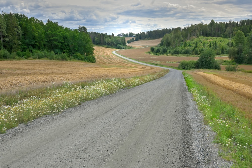 gray asphalt road between green grass field during daytime