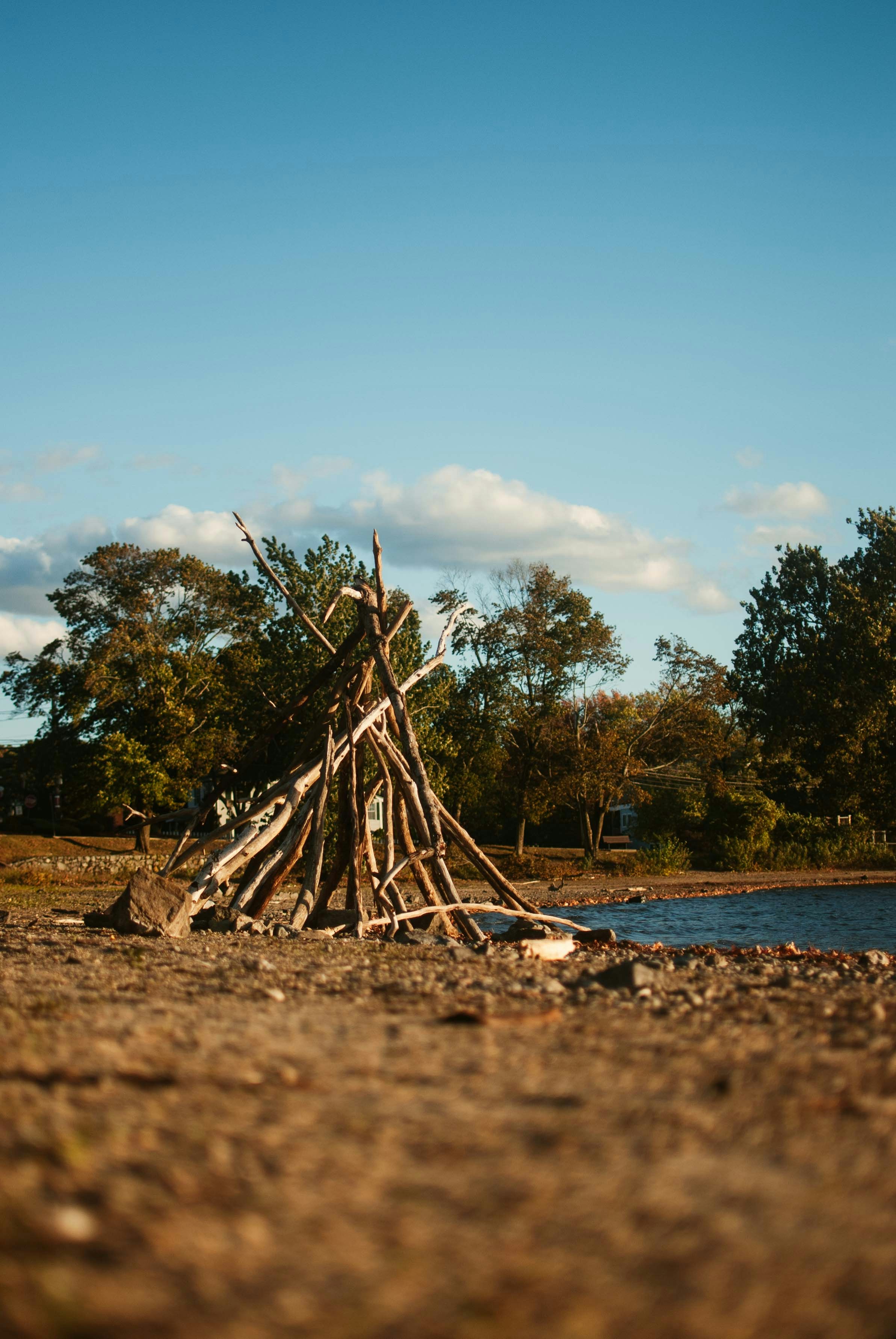 brown wooden stick on brown sand near body of water during daytime