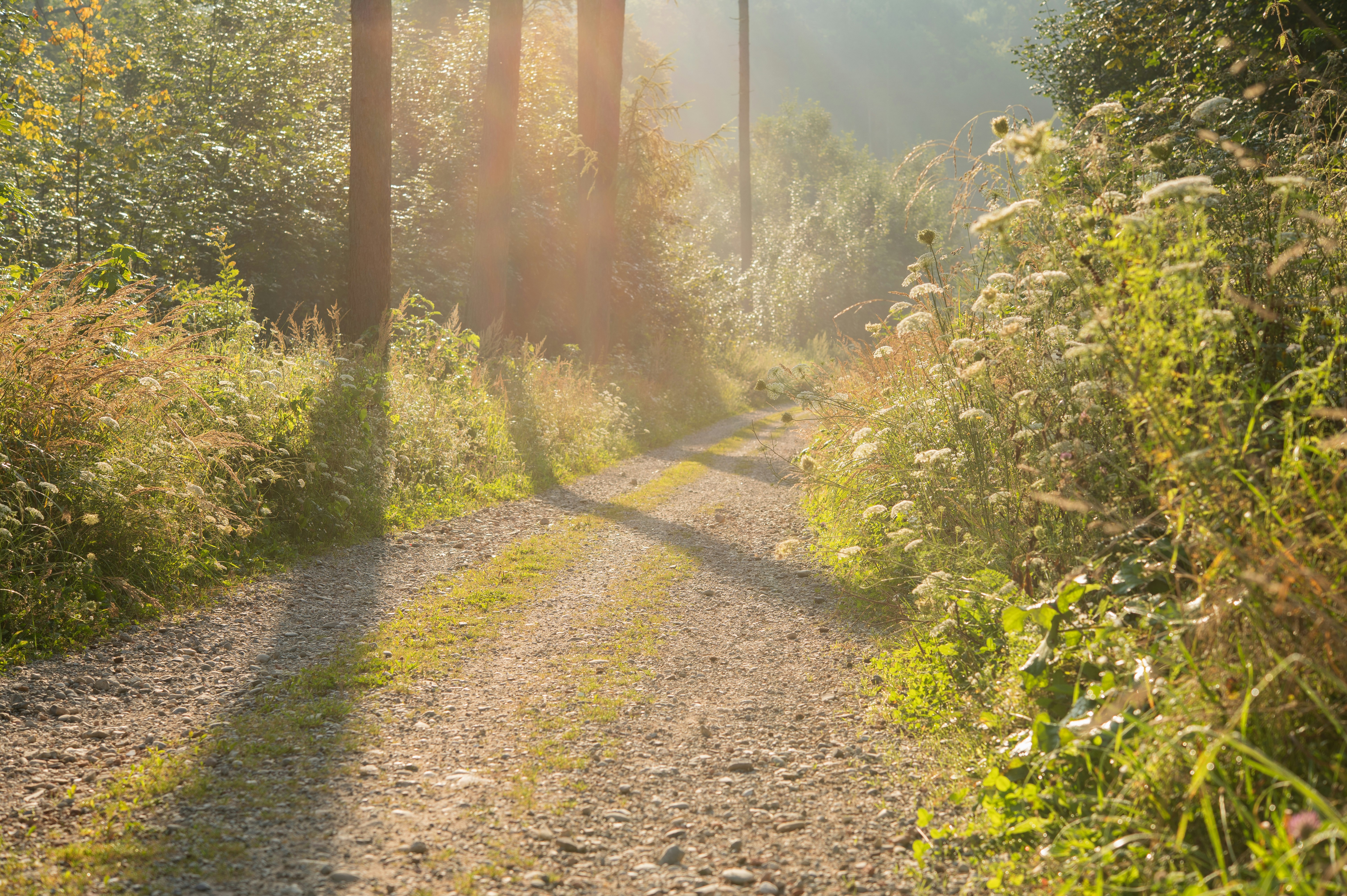 Photo by peterneumann