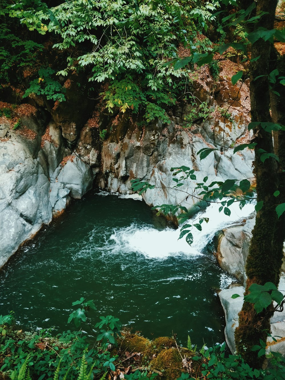 water falls in the middle of the forest