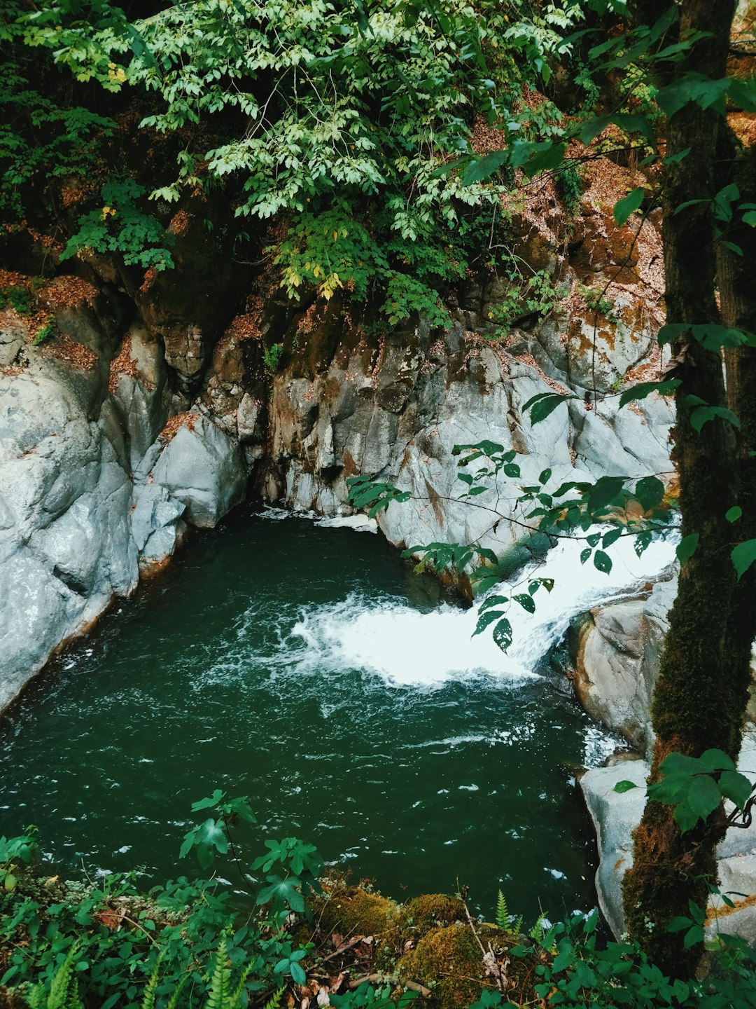 Watercourse photo spot Astara Azerbaijan