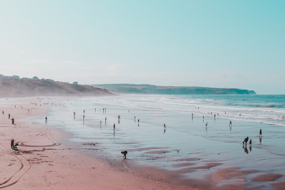 people on beach during daytime