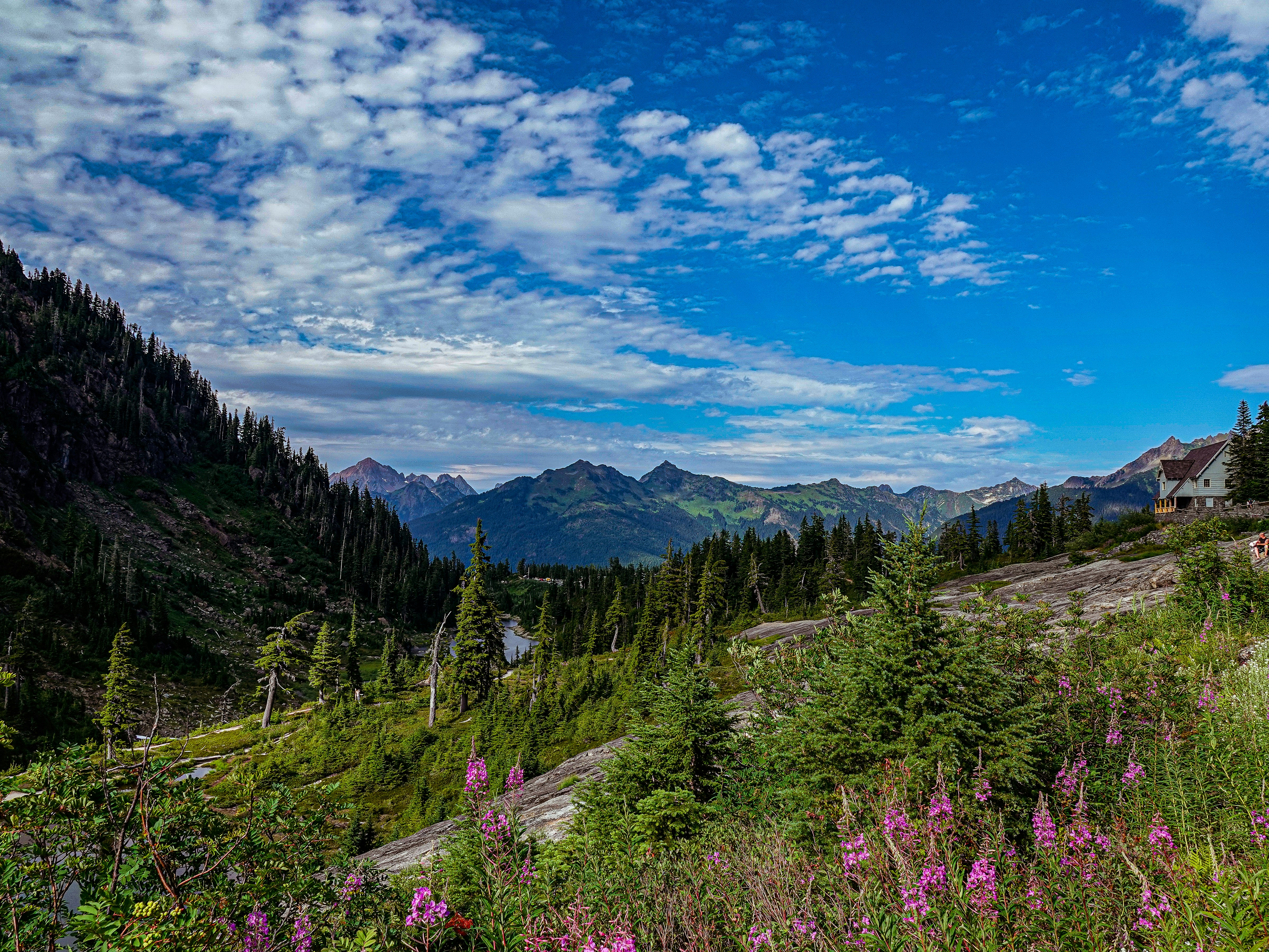 Photo by pavlpolo_official