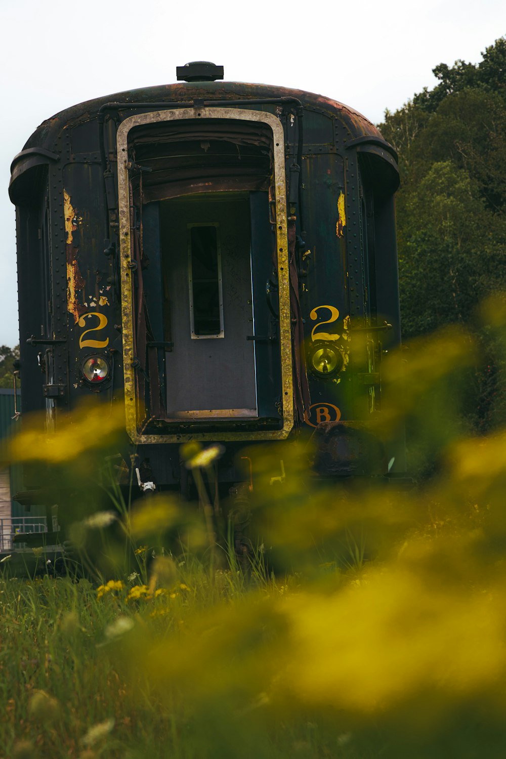 black and yellow train on green grass field