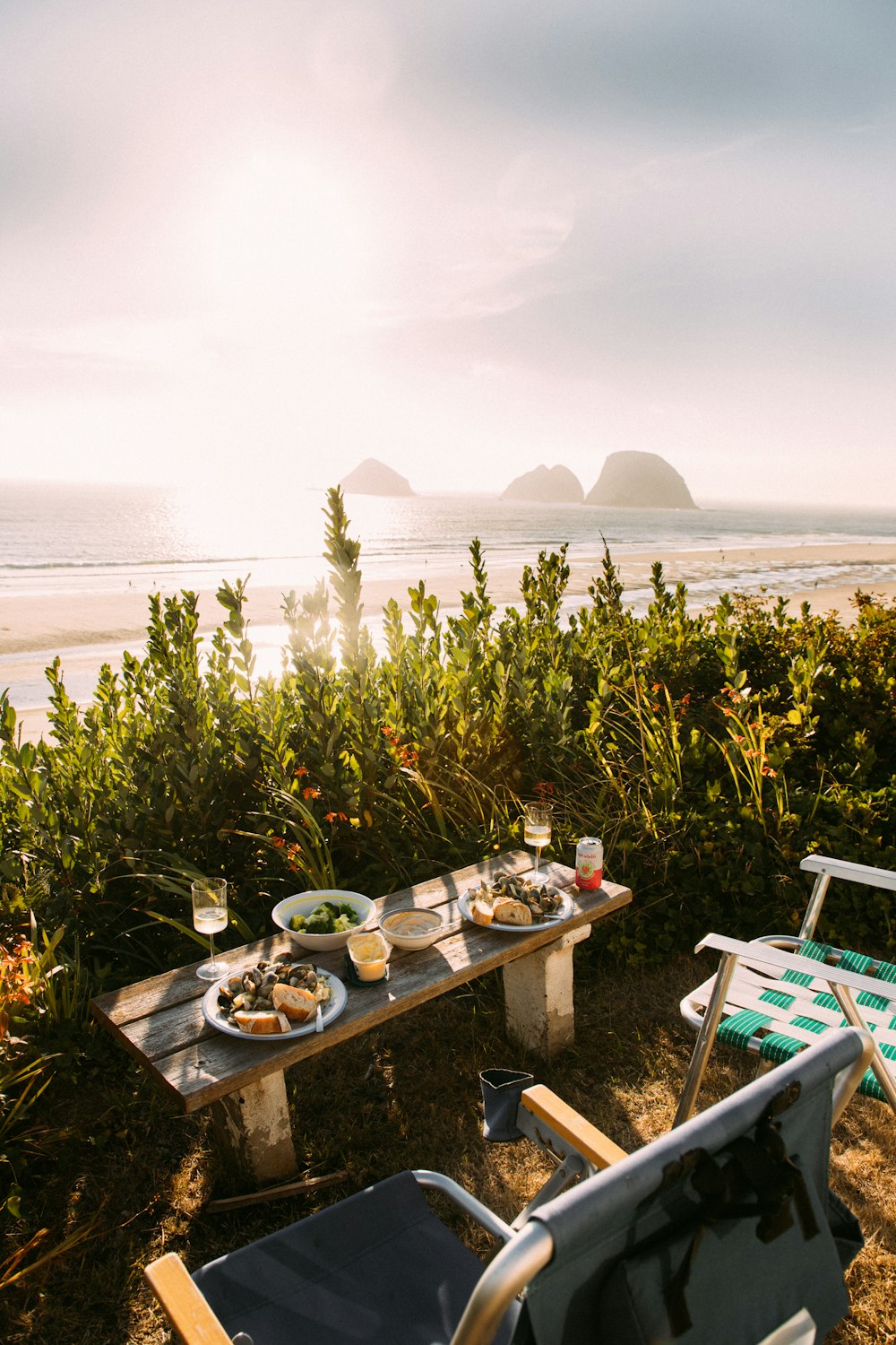 white and blue folding chair near green plants during daytime