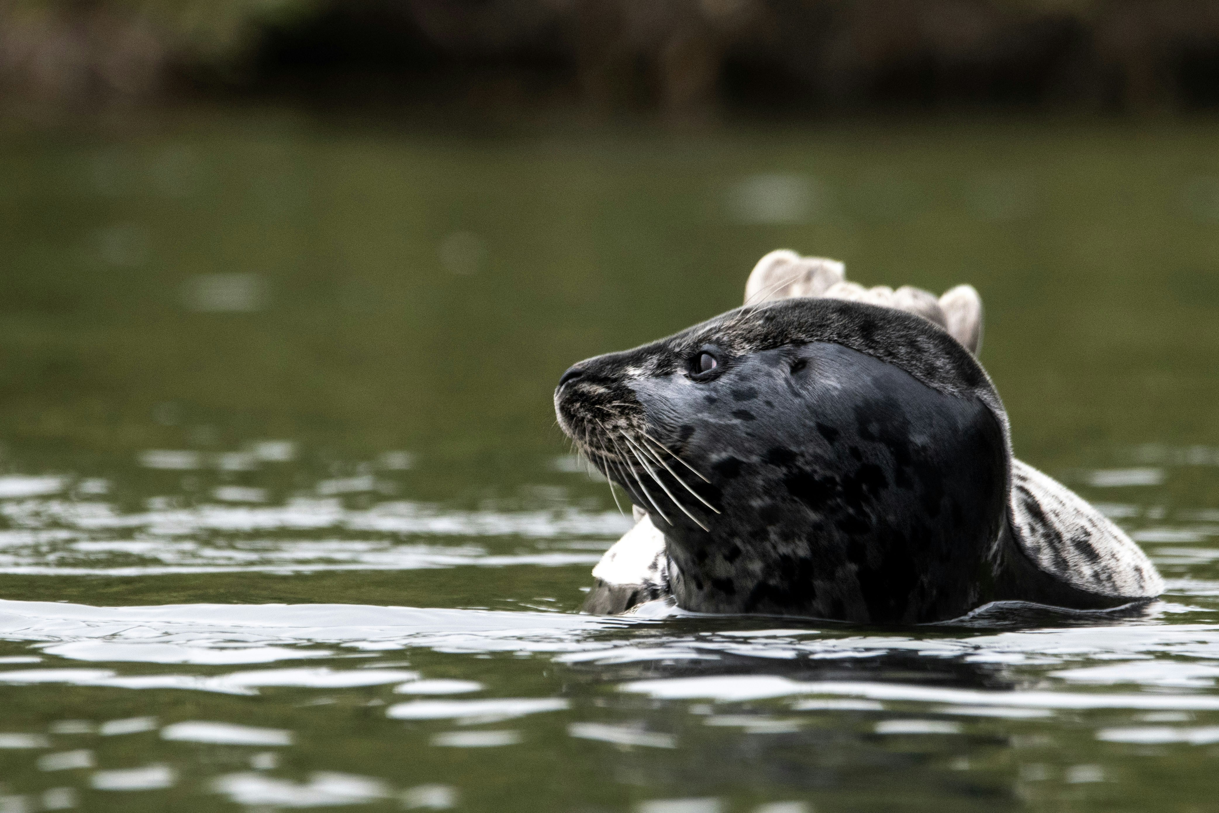 Photo by elisastonephotography