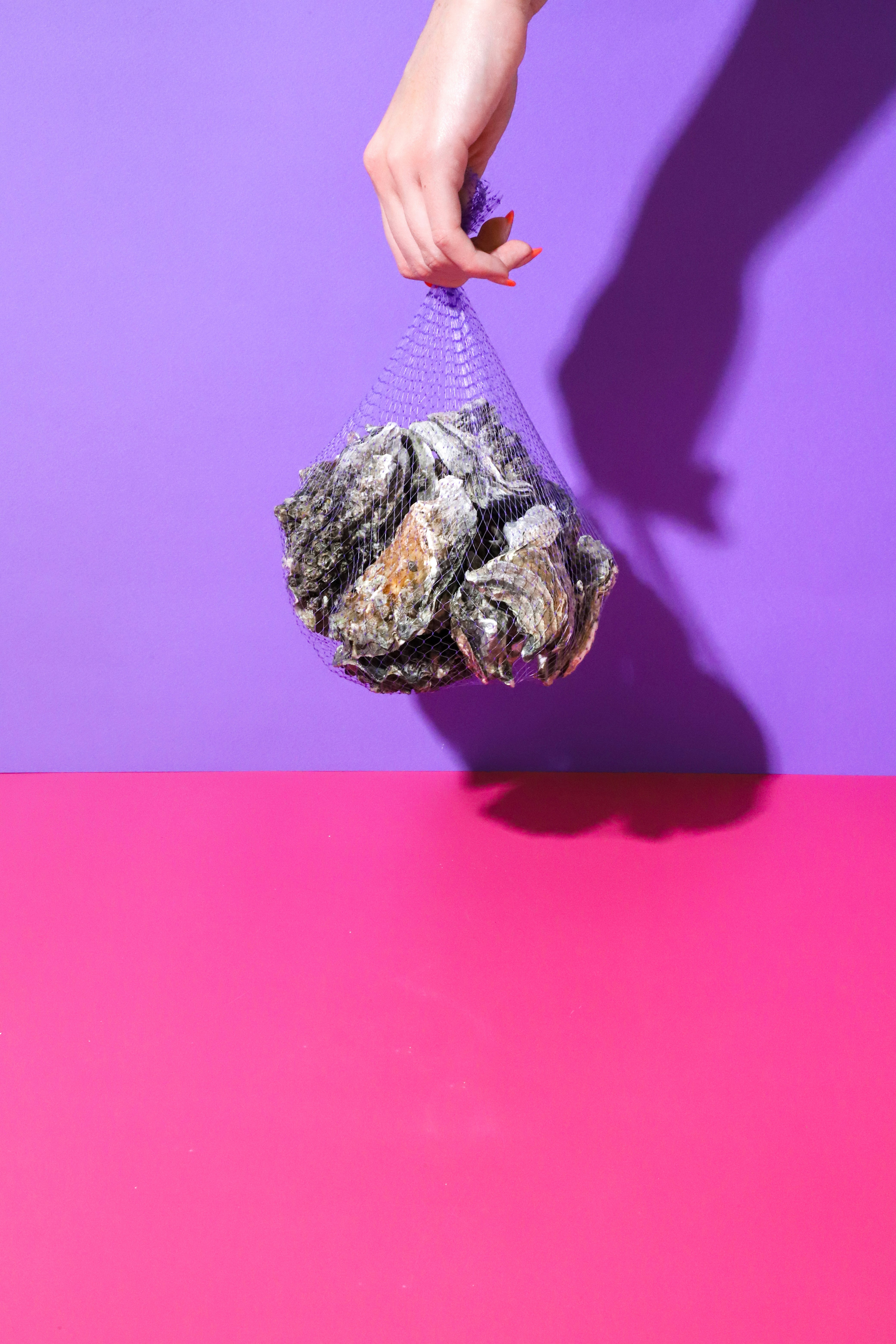 personne tenant une pierre brune et noire