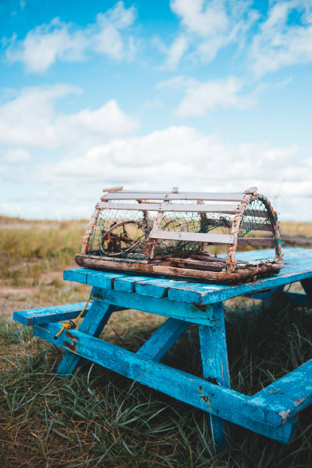 blue wooden boat on green grass field during daytime