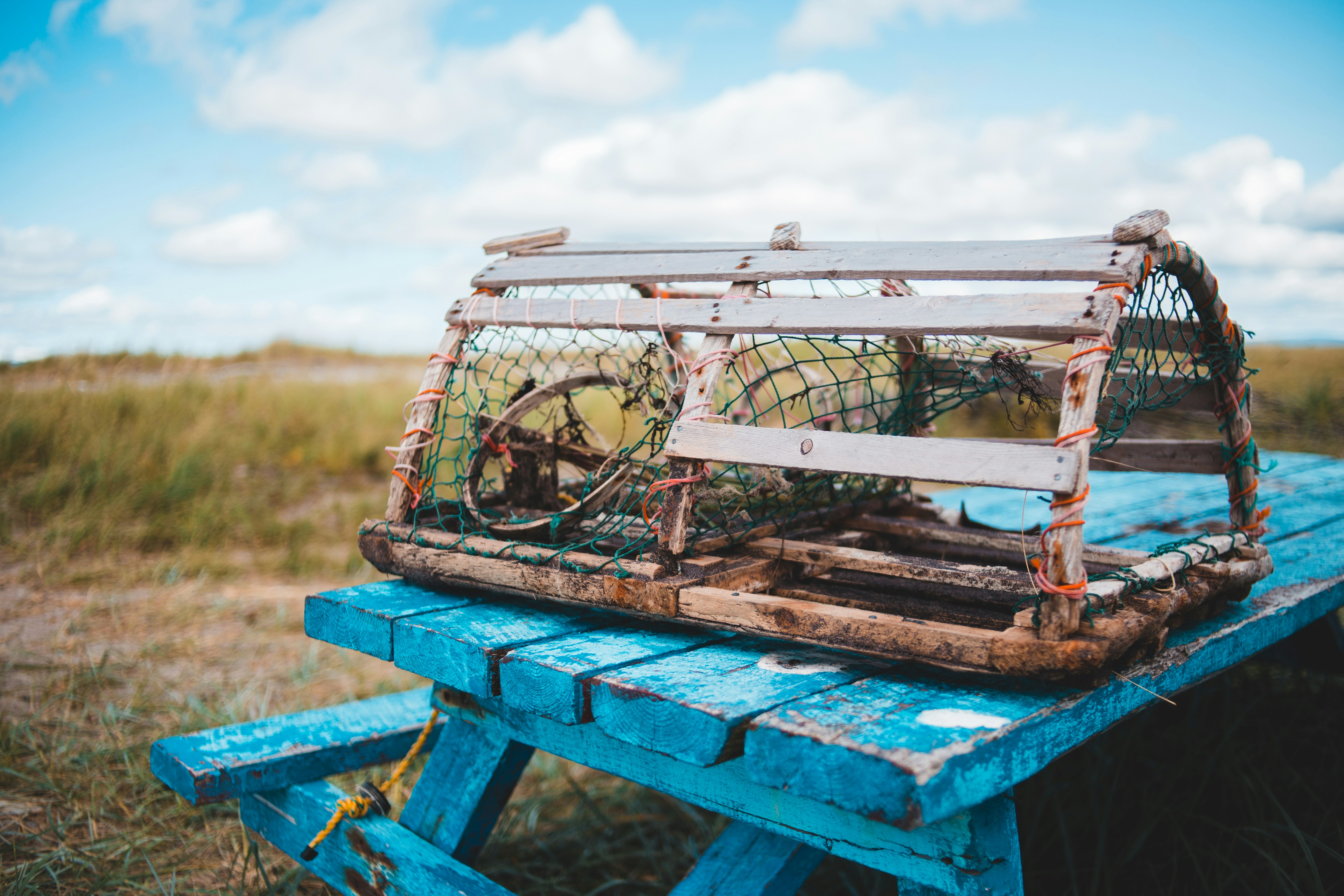 Photo by introspectivedsgn