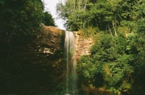 A cinematic shot of a peaceful waterfall surrounded by dense foliage, perfect for a tranquil escape.