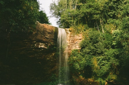 A cinematic shot of a peaceful waterfall surrounded by dense foliage, perfect for a tranquil escape.