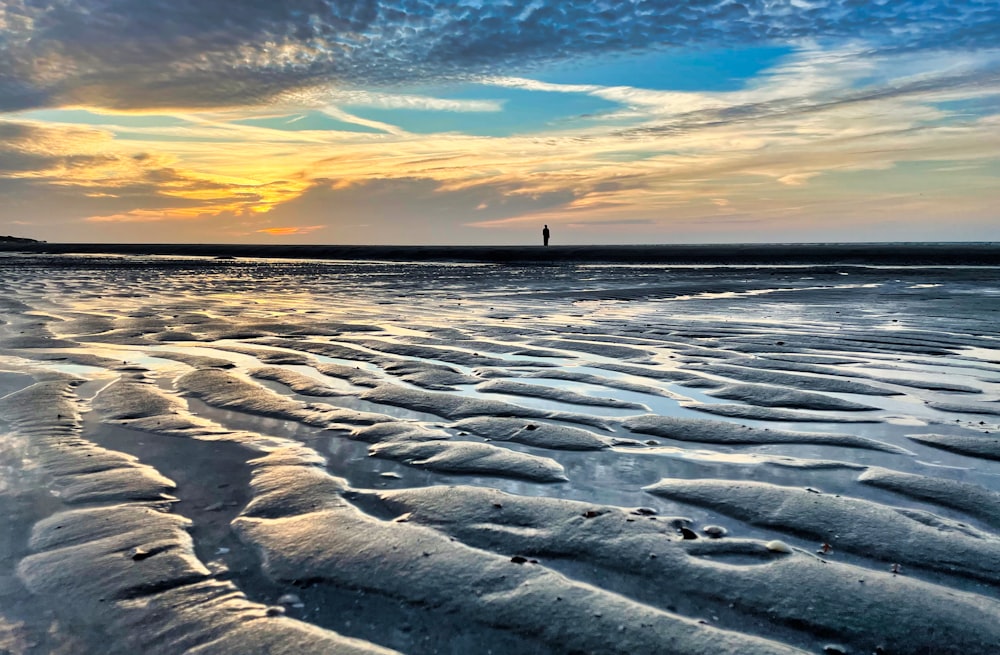 person standing on beach during sunset