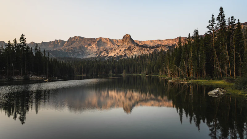 Mammoth Trail Fest