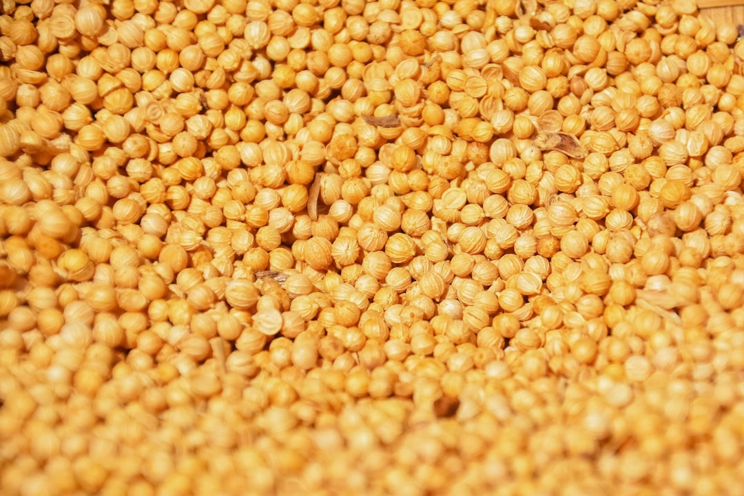 brown and yellow beans in close up photography