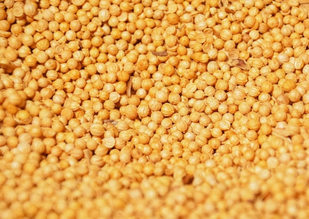 Mustard Seeds