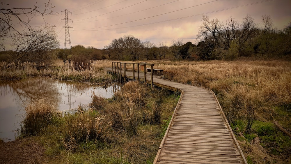 brown wooden bridge over river