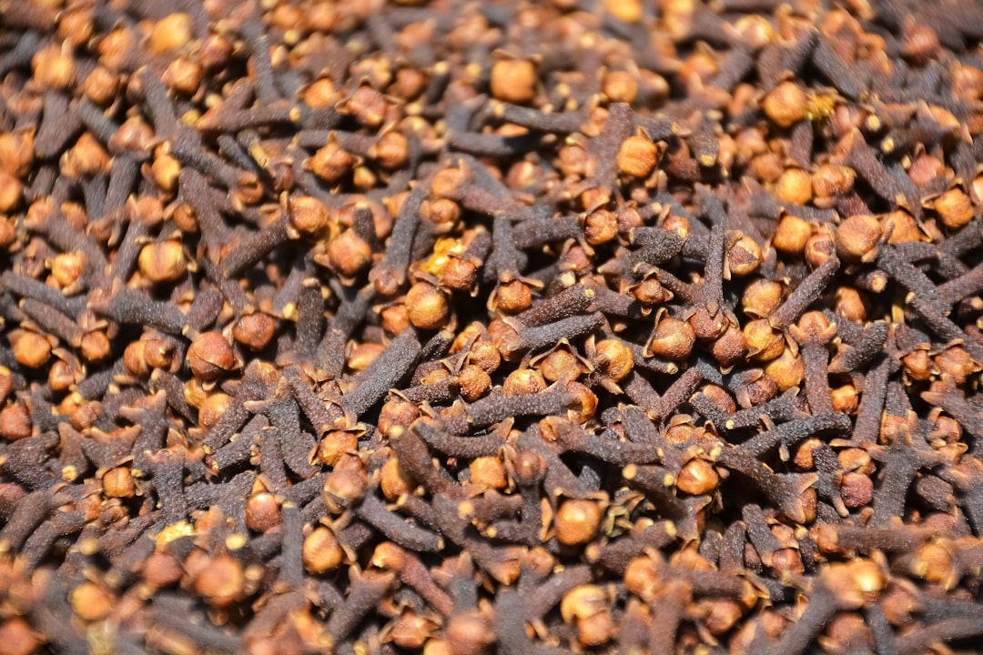 brown coffee beans on brown soil