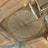 An ornate interior ceiling features a large, circular centerpiece with intricate carvings and golden accents. The ceiling is wooden, with a radial pattern emanating from the center. Surrounding the circle are decorative moldings and arches, all with detailed embellishments.