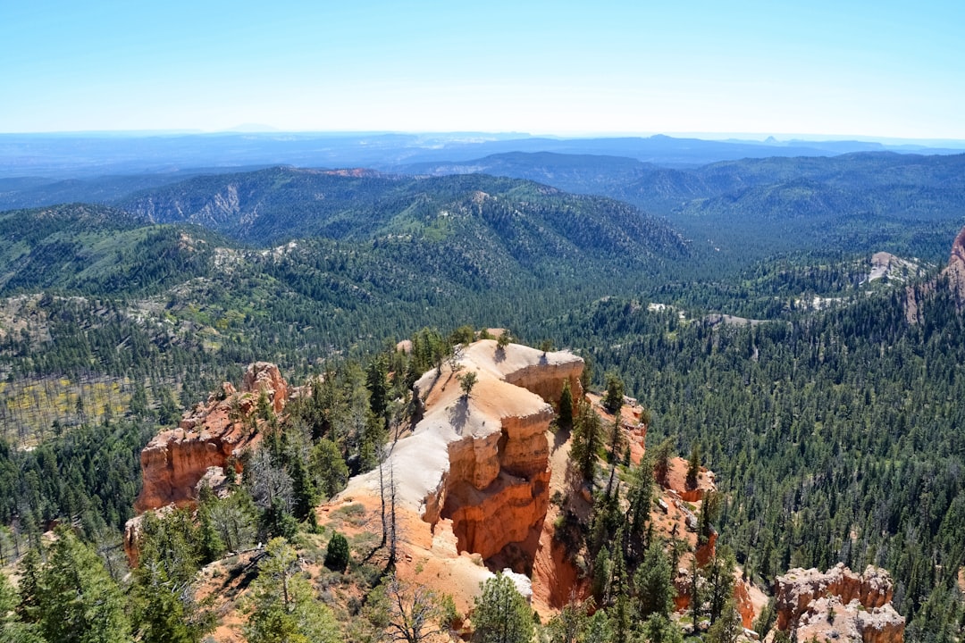 green trees on brown mountain under blue sky during daytime